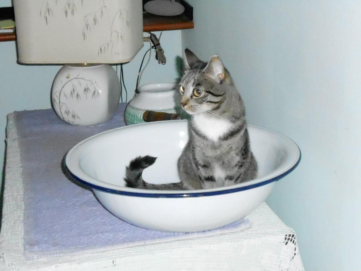 I Tetti Di Sassari B&B エクステリア 写真